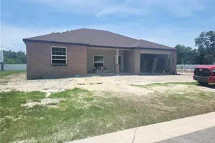 411 Shannon Ests Ct, Plant City, FL 33563 - Photo 1