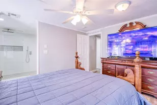 417 Dolphin Dr S, Oldsmar, FL 34677 - Photo 19