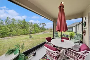 10395 Banyan Breeze Blvd, Land O Lakes, FL 34638 - Photo 41