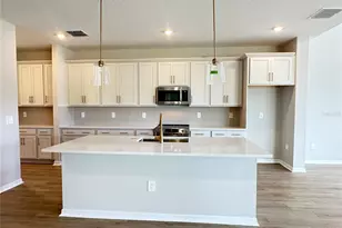 5948 Fresh Flora Dr, Wimauma, FL 33598 - Photo 11