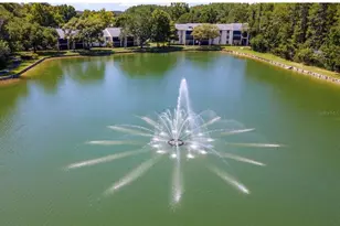 3211 Lake Pine Way E, Tarpon Springs, FL 34688 - Photo 41