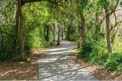 6006 Shearwater Lane, Lithia, FL 33547 - Photo 49