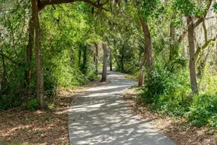 6006 Shearwater Ln, Lithia, FL 33547 - Photo 49