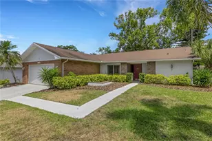 3147 E Dorchester Dr, Palm Harbor, FL 34684 - Photo 41