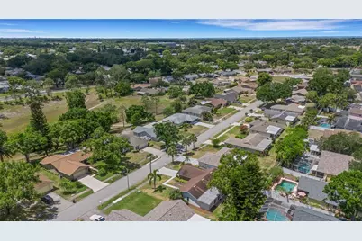 3147 E Dorchester Drive, Palm Harbor, FL 34684 - Photo 59