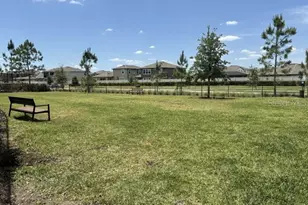 3091 Marine Grass Dr, Wimauma, FL 33598 - Photo 49