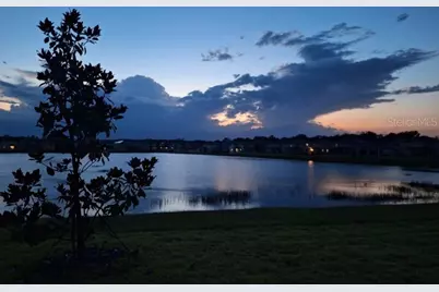 3091 Marine Grass Drive, Wimauma, FL 33598 - Photo 41