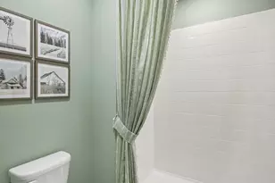 17671 Spanish Oak Loop, Land O Lakes, FL 34638 - Photo 21