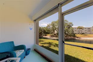 946 Virginia St, Dunedin, FL 34698 - Photo 23