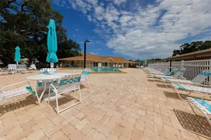 946 Virginia St, Dunedin, FL 34698 - Photo 33