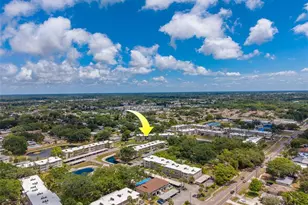 946 Virginia St, Dunedin, FL 34698 - Photo 49