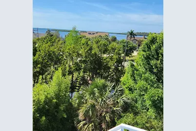 501 Palm Avenue, Palm Harbor, FL 34683 - Photo 45