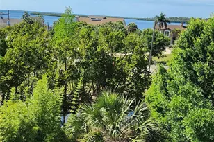 501 Palm Ave, Palm Harbor, FL 34683 - Photo 45