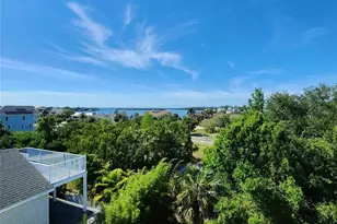 501 Palm Ave, Palm Harbor, FL 34683 - Photo 41