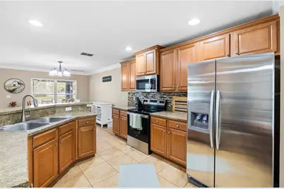 11114 Goldenrod Fern Drive, Riverview, FL 33569 - Photo 9