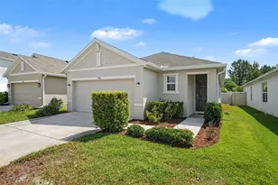 3296 Suncoast Plains Dr, Odessa, FL 33556 - Photo 3