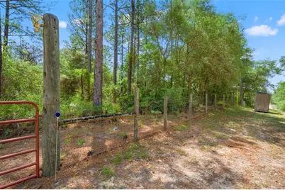 9031 N Manila Terrace, Dunnellon, FL 34433 - Photo 9