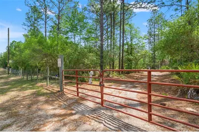 9031 N Manila Terrace, Dunnellon, FL 34433 - Photo 11