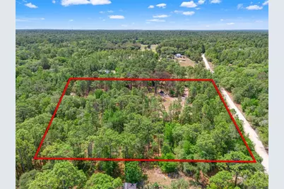 9031 N Manila Terrace, Dunnellon, FL 34433 - Photo 5