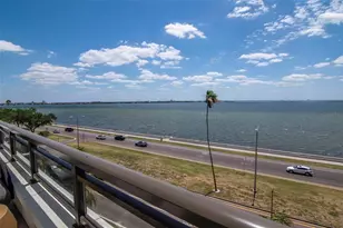 2103 Bayshore Blvd, Tampa, FL 33606 - Photo 99