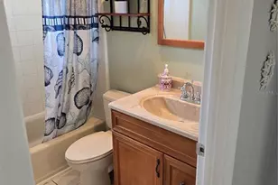 3235 Buckhorn Dr, Clearwater, FL 33761 - Photo 23