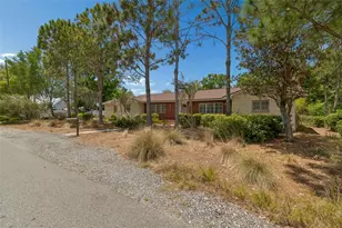 707 N Johnson St, Plant City, FL 33563 - Photo 3