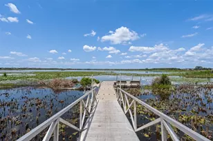 31823 Sapna Chime Dr, Wesley Chapel, FL 33545 - Photo 53