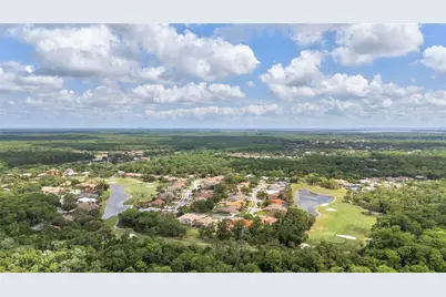 50 Kelleys Trail, Oldsmar, FL 34677 - Photo 59
