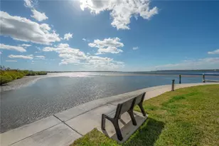 119 Brent Cir, Oldsmar, FL 34677 - Photo 59