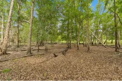 000 Palomino Lakes Dr, Dade City, FL 33523 - Photo 7