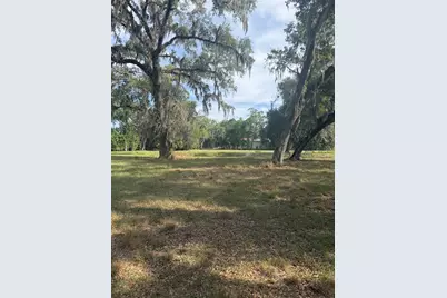 000 Palomino Lakes Dr, Dade City, FL 33523 - Photo 1