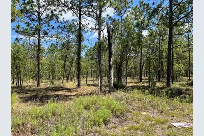 Nw Amberjack, Lot #33, Dunnellon, FL 34431 - Photo 1