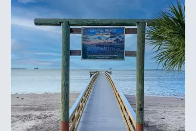 422 Kentucky Avenue, Crystal Beach, FL 34681 - Photo 41