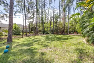313 Pine Bluff Dr, Lutz, FL 33549 - Photo 61