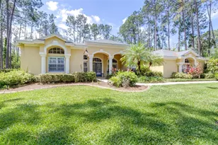 313 Pine Bluff Dr, Lutz, FL 33549 - Photo 1