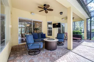 313 Pine Bluff Dr, Lutz, FL 33549 - Photo 59