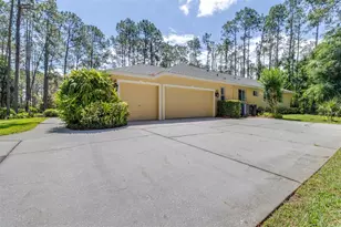 313 Pine Bluff Dr, Lutz, FL 33549 - Photo 9