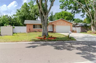 2276 Tamarron Terrace, Palm Harbor, FL 34683 - Photo 69