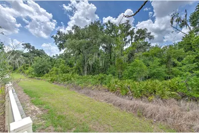 17334 White Mangrove Drive, Wimauma, FL 33598 - Photo 25