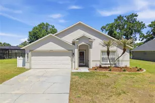 23450 Cherbourg Loop, Land O Lakes, FL 34639 - Photo 1