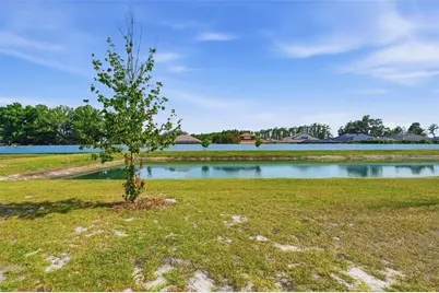 6010 Shiner Street, Land O Lakes, FL 34638 - Photo 51