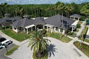10144 Arbor Run Dr, Tampa, FL 33647 - Photo 51