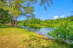 4448 Ranchwood Ln, Tampa, FL 33624 - Photo 17