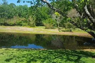 4730 Wrentham Pl, Palm Harbor, FL 34685 - Photo 5