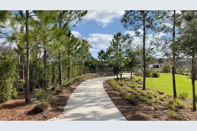32935 Kaloko Road, Wesley Chapel, FL 33543 - Photo 13