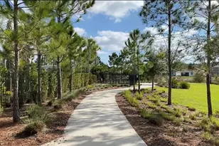 32935 Kaloko Rd, Wesley Chapel, FL 33543 - Photo 13