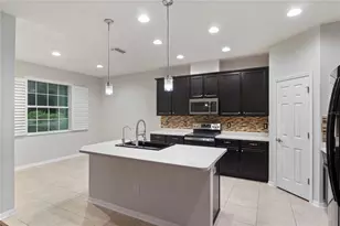 6936 Rocky Canyon Way, Tampa, FL 33625 - Photo 7