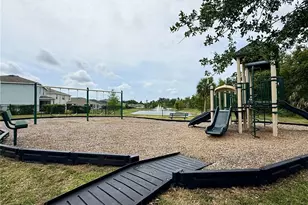 14415 20th St E, Parrish, FL 34219 - Photo 41