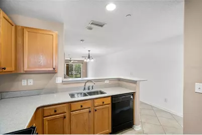 4817 Tuscan Loon Drive, Tampa, FL 33619 - Photo 7