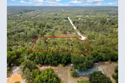Parallel Road, Weeki Wachee, FL 34614 - Photo 3